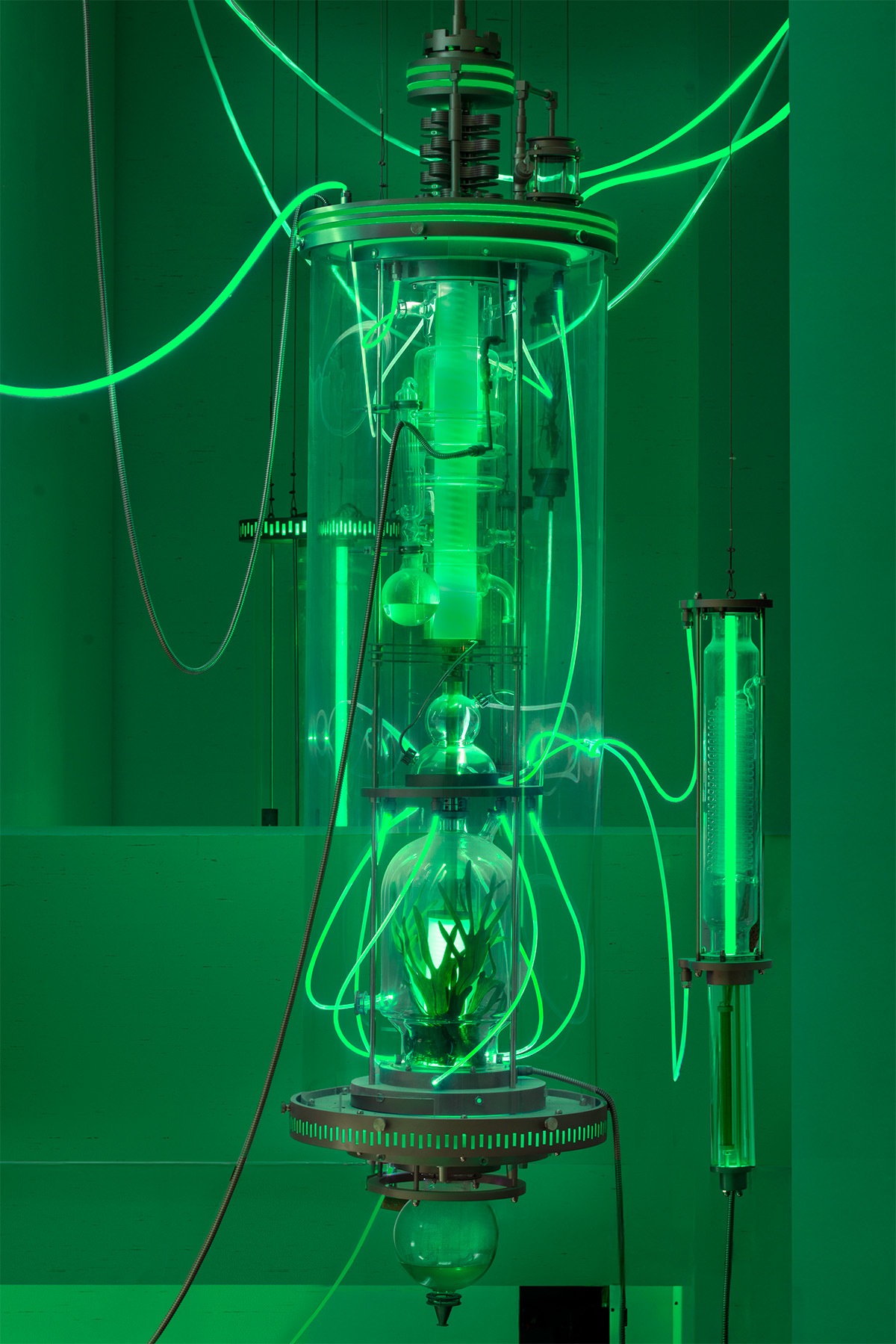 Amid the flowing light, life is cultivated, purified and carried onward to reach further still. Wherever the green glow touches, it awakens something pure and eternal, like the breath of nature itself.